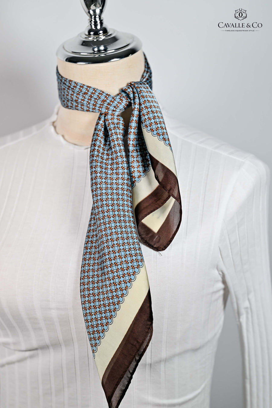 Blue & Chocolate circles Scarf