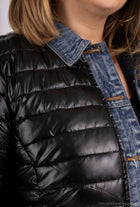 Plus Size Metallic Padded Jacket: Navy Blue