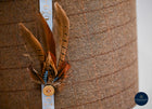 Brown Wrought Iron Table Lamp with Handmade UK Feather Detail