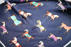 Navy Little Rugged Horses Scarf