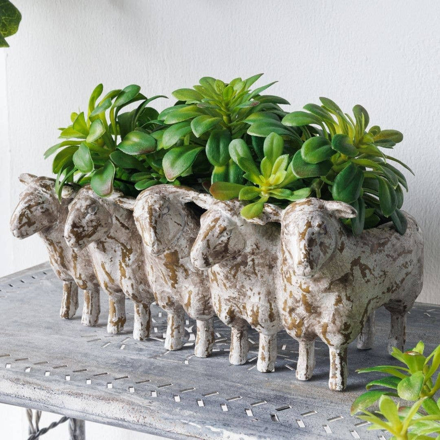 Rustic Sheep Planter- Meet Roger, Ethel, Lionel & Daphne!
